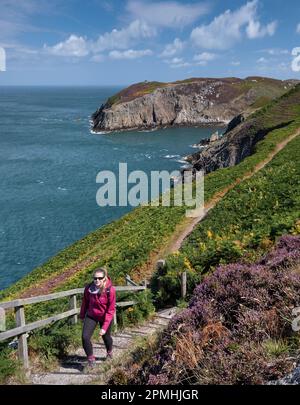 Junge Frau, die im Sommer auf dem Anglesey Coast Path spaziert, in der Nähe von Cemaes, Isle of Anglesey, North Wales, Großbritannien, Europa Stockfoto