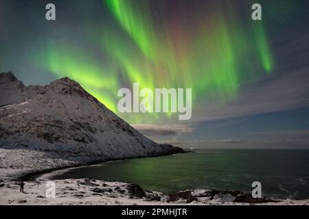 Ein Fotograf fotografiert die Aurora Borealis (Nordlichter) über dem Berg Skoytneset und Mefjorden im Winter, in der Nähe von Mefjordvaer, Senja und Troms Og Finnma Stockfoto