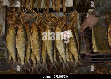 Gilan Province - Rasht IRAN - 9. April 2023 salzige Fische zum Preis auf dem Fischmarkt - Detailaufnahme Stockfoto