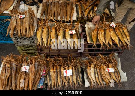 Provinz Gilan - Rasht IRAN - 9. April 2023 salzige Fische zu Preisen auf dem Fischmarkt Stockfoto