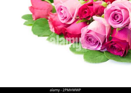 Strauß aus roten und rosa Rosen, Nahaufnahme auf weißem Hintergrund Stockfoto