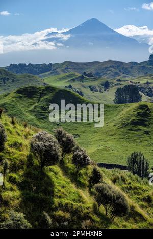 Mt Taranaki von Strathmore Saddle auf dem Forgotten World Highway, North Island, Neuseeland Stockfoto