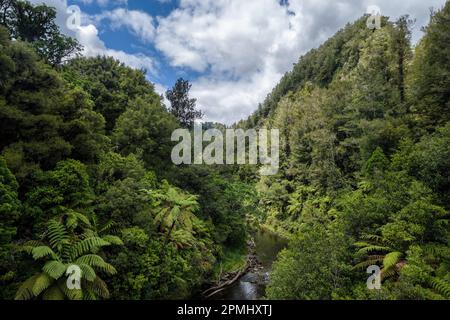 Blick auf den Tangarakau River von einer Brücke über den Forgotten World Highway, North Island, Neuseeland Stockfoto