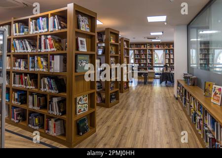 Universitätsbibliothek der Universität für Kreative Künste und Design (ARUCAD). Prof. Dr. Asım Vehbi, Rektor an der Arkin University of Creative Arts and Design (ARUCAD) Kyrenia, Zypern Stockfoto