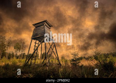 Observatoriumsturm zur Waldbrandbekämpfung Stockfoto