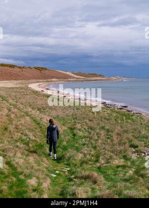 Frau, die allein auf dem Küstenwanderweg in Sutherland, Highland Schottland, spaziert Stockfoto