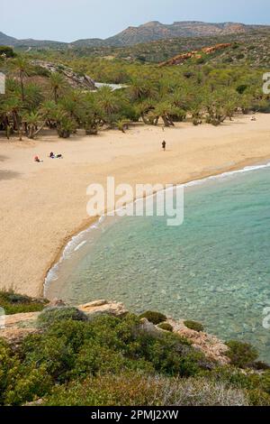 Palmenstrand von Vai mit kretischen (Phoenix theophrasti) Date Palms, Kreta, Griechenland Stockfoto