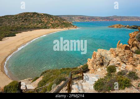 Palmenstrand von Vai mit kretischen (Phoenix theophrasti) Date Palms, Kreta, Griechenland Stockfoto