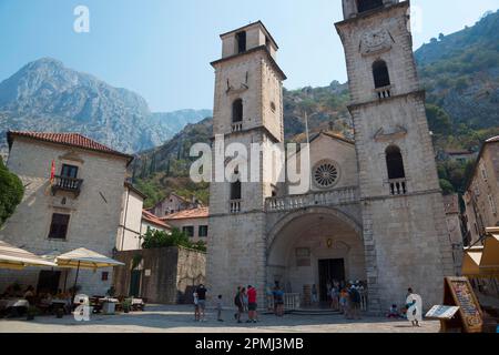 Kathedrale von St. Tryphon, Altstadt, Kotor, Bucht von Kotor, Montenegro, Sv. Trispaß Stockfoto