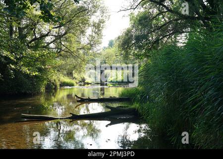 Fluss, Fluss Vils in Bayern Deutschland sonnig Tag Sonne wunderschöner Flussufer, Bäume. Der Fluss Vils in Bayern an einen sonnigen Tag. Stockfoto