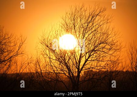 Scharlachrote Sonne vor Silhouettenbäumen und Stadthäusern Stockfoto