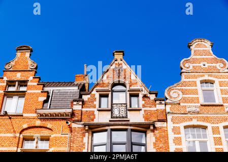 Historische Gebäude auf dem Alten Marktplatz. Leuven, Flämische Gemeinschaft, Flämische Region, Belgien, Europa Stockfoto