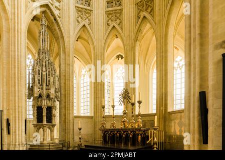 Priesterchor und Sakrament Tower. Die Peterskirche ist eine römisch-katholische Kirche, die im 15. Jahrhundert im brabantinischen gotischen Stil erbaut wurde. Leuven, Florida Stockfoto