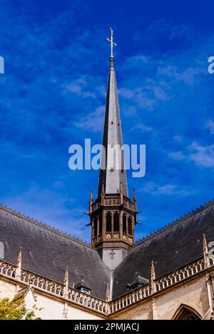 Detail des Turms. Die Peterskirche ist eine römisch-katholische Kirche, die im 15. Jahrhundert im brabantinischen gotischen Stil erbaut wurde. Leuven, Flämische Gemeinschaft, Stockfoto