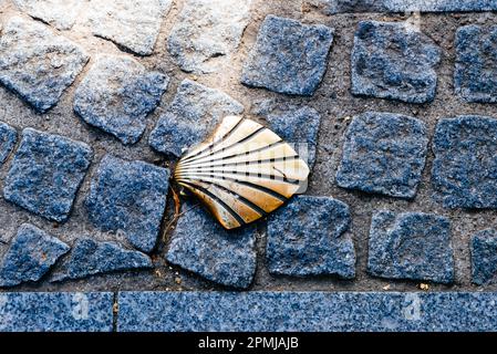 Eine Jakobsmuschel, Symbol für die Pilgerfahrt nach Santiago de Compostela, in der Nähe der Kathedrale Saint-Salvator und der Kathedrale von Brügge. Brügge, Westflandern, Belgien, Eu Stockfoto