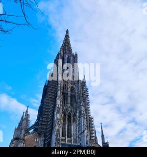 Der westliche Kirchturm des weltberühmten Münsters Ulm, ein gotisches Dom-Gebäude, Ulm, Baden-Württemberg, Deutschland. Stockfoto