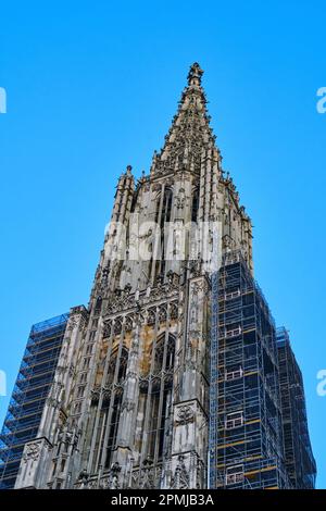 Der westliche Kirchturm des weltberühmten Münsters Ulm, ein gotisches Dom-Gebäude, Ulm, Baden-Württemberg, Deutschland. Stockfoto