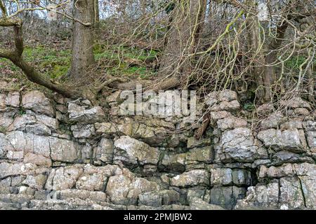 Flusses Kent, Arnside, Cumbria, UK Stockfoto