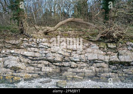 Flusses Kent, Arnside, Cumbria, UK Stockfoto