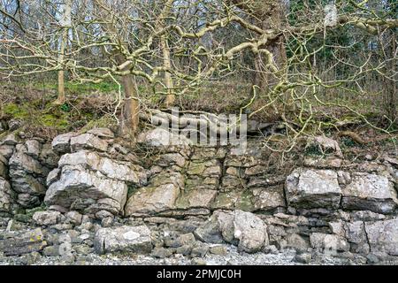Flusses Kent, Arnside, Cumbria, UK Stockfoto