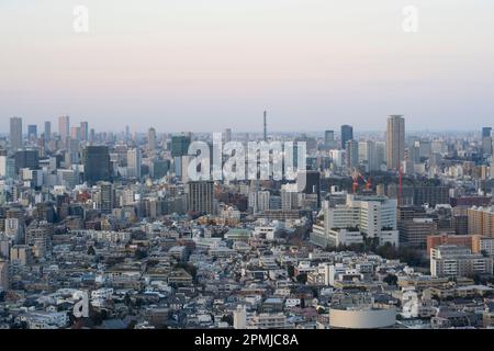 Tokio, Japan. 9. Februar 2023. Die Skyline der Stadt bei Sonnenuntergang von Ebisu aus gesehen. Die Bevölkerung von Tokio beträgt etwa 13,9 Millionen Menschen, während die Metropolregion etwa 40 Millionen Menschen umfasst, was sie zur bevölkerungsreichsten Stadt der Welt macht. Die Bevölkerung Tokios wird in den kommenden Jahren voraussichtlich weiter wachsen, da immer mehr Menschen in die Stadt ziehen, um Arbeitsplätze und Chancen zu finden, obwohl die Geburtenrate in Japan sinkt. Die japanische Regierung fürchtet Wohnungsknappheit und Überbevölkerung in der Stadt, während die ländlichen Gebiete mit rückläufiger demografischer Entwicklung konfrontiert sind, bietet Anreize in Höhe von einer Million Yen an Stockfoto