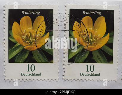 MÜNCHEN, DEUTSCHLAND - CA. APRIL 2023: Ein deutscher Stempel mit der Winteraponitenblüte Stockfoto