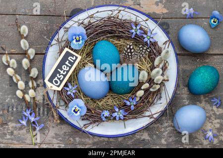 osternest mit blau bemalten Eiern und Frühlingsblumen Stockfoto