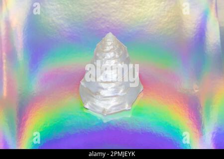 Die glitzernde Muschel auf der holographischen Regenbogenbeschichtung. Noch mehr Meeresgefühle. Stockfoto