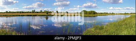 Sommer rushy Panoramablick auf den See mit Wolken Reflexionen. Stockfoto