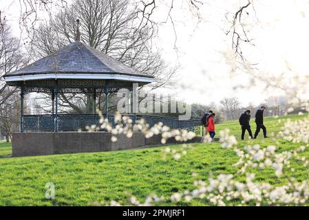 Frühlingssonne auf Hampstead Heath im Norden Londons, Großbritannien Stockfoto