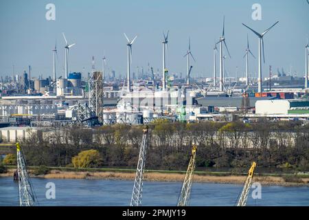 Der Hafen von Antwerpen an der Schelde gilt als zweitgrößter Seehafen in Europa, Flandern, Belgien Stockfoto