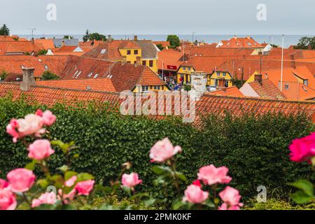 Blick auf die roten Dächer der Stadt und Rosen im Vorfeld. Insel Bornholm Dänemark. Stockfoto