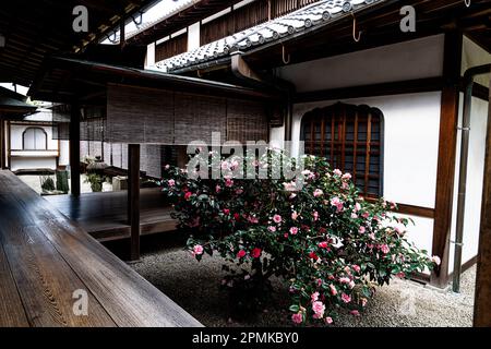 Eintritt zum Garten des Zuihoin Subtempels in Daitokuji Rinzai Zen Hauptquartier in Kyoto, Japan. Stockfoto