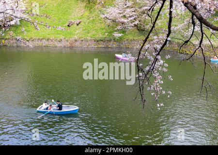 Tokio Japan Sakura Kirschblüte Kaiserpalast Graben Chidorigafuchi Park, Menschen in Booten kommen den Kirschblüten in Tokio Japan nahe Stockfoto