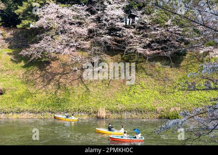 Tokio Japan Sakura Kirschblüte Kaiserpalast Graben Chidorigafuchi Park, Menschen in Booten kommen den Kirschblüten in Tokio Japan nahe Stockfoto