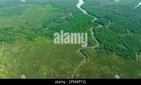 Blick aus der Vogelperspektive auf die tropische Landschaft mit Mangrovenwäldern und Fluss. Borneo. Malaysia. Stockfoto