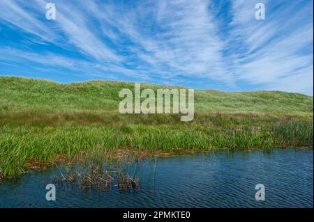 Küstendünen, bedeckt mit Marramgräsern, zwischen dem See von Shining Waters und dem Golf von St. Lawrence. Cavendish Dunelands, PEI-Nationalpark. Stockfoto