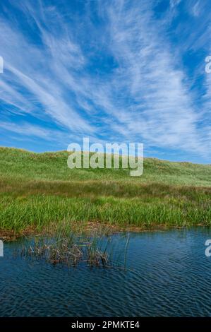 Küstendünen, bedeckt mit Marramgräsern, zwischen dem See von Shining Waters und dem Golf von St. Lawrence. Cavendish Dunelands, PEI-Nationalpark. Stockfoto