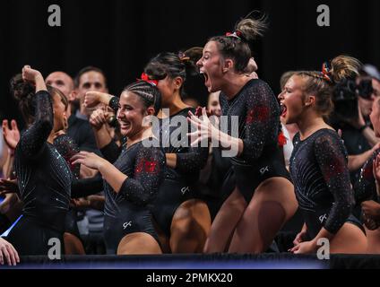 Fort Worth, Texas, USA. 13. April 2023. Das Utah Gymnastik-Team feiert den Eintritt in das Finale der NCAA National Collegiate Women's Gymnastics Championships 2023 in der Dickies Arena in Fort Worth, TX. Kyle Okita/CSM/Alamy Live News Stockfoto