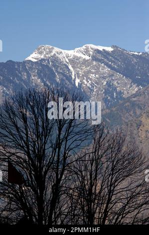Blick auf einen schneebedeckten Himalaya am Morgen in der Nähe des Sarahan State Himachal Pradesh India Stockfoto