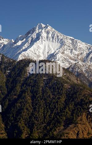 Blick auf einen schneebedeckten Himalaya am Morgen in der Nähe des Sarahan State Himachal Pradesh India Stockfoto