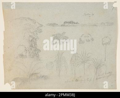 Zeichnen, Lernen mit Baumwipfeln, Bäumen, fünf Pflanzendesigns und einer fernen Insel; Frederic Edwin Church (amerikanisch, 1826–1900); USA; Graphit auf grauem gewebtem Papier; Blatt: 21,5 x 28,2 cm (8 7/16 x 11 1/8 Zoll) Stockfoto