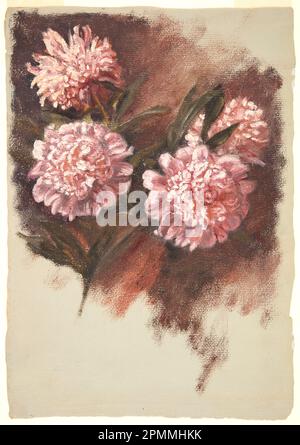 Malerei, Red Peonies; Samuel Colman (amerikanisch, 1832-1920); USA; Bürste und Öl auf dickem, grauem, strukturiertem Papier; 41,9 x 29,6 cm (16 1/2 x 11 5/8 Zoll) Matte mit unregelmäßigen Kanten: 55,9 x 40,6 cm (22 x 16 Zoll) Stockfoto