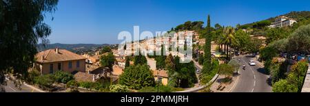 Ein atemberaubender Panoramablick aus einem hohen Winkel auf einen Baum in Bormes-Les-Mimosas an einem Sommertag mit endlosem blauen Himmel und üppigen Pflanzen. Stockfoto