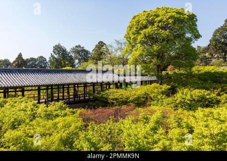 April 2023 Kyoto Japan, Tsutenkyo Holzbrücke im Tofuku-ji Tempel in Kyoto, einer der großen buddhistischen Zen Tempel, Japan, Asien Stockfoto