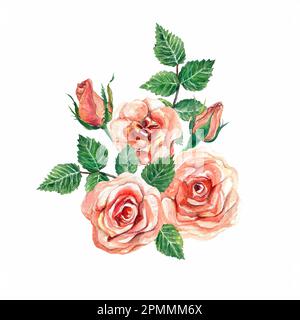 Aquarell-Strauß alter Korallenrosen. Rosa Rosenblume, grüne Blätter. Design für Grußkarten, Hochzeitseinladungen. Illustration im Retro-Stil Stockfoto