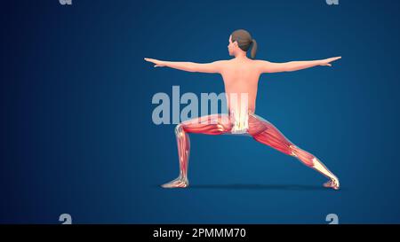 3D Human Virabhadrasana II Variation erweiterte Warrior Yoga Pose auf blauem Hintergrund Stockfoto