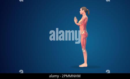 3D menschliche Tadasana betende Yoga-Pose auf blauem Hintergrund Stockfoto