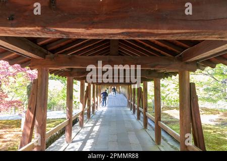 April 2023 Kyoto Japan, Tsutenkyo Holzbrücke im Tofuku-ji Tempel in Kyoto, einer der großen buddhistischen Zen Tempel, Japan, Asien Stockfoto