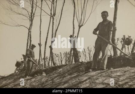 Rom, Italien Mai 1941: Ein klassisches Foto, auf dem die harte Arbeit und die Beharrlichkeit der Landwirte in den 1940er Jahren festgehalten werden. Stockfoto